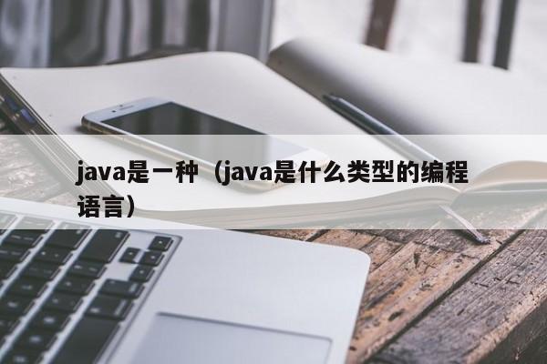 java是一种(java是什么类型的编程语言)
