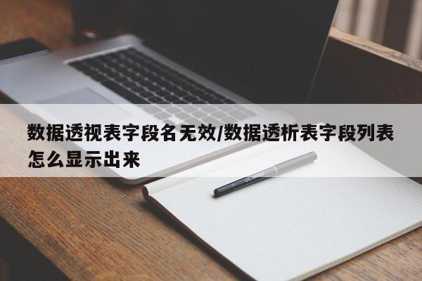 数据透视表字段名无效/数据透析表字段列表怎么显示出来