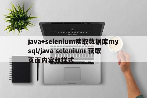 java+selenium读取数据库mysql/java selenium 获取页面内容和样式