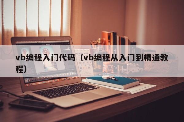 vb编程入门代码(vb编程从入门到精通教程)