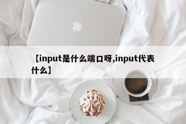 【input是什么端口呀,input代表什么】