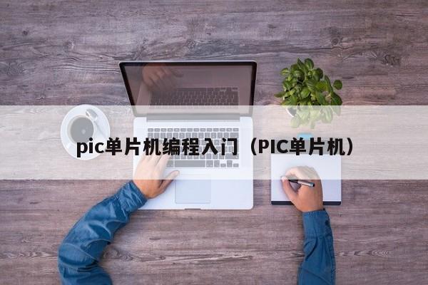 pic单片机编程入门(PIC单片机)