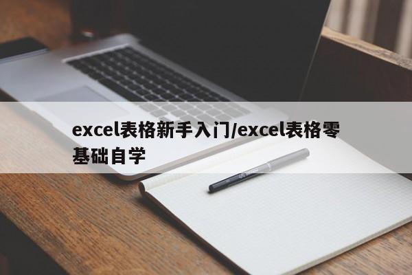excel表格新手入门/excel表格零基础自学