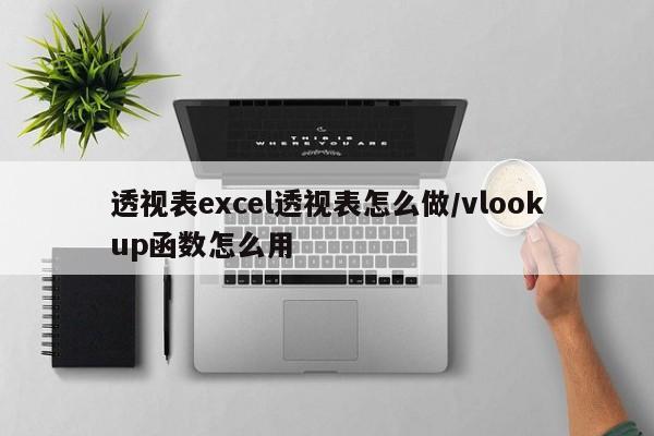 透视表excel透视表怎么做/vlookup函数怎么用