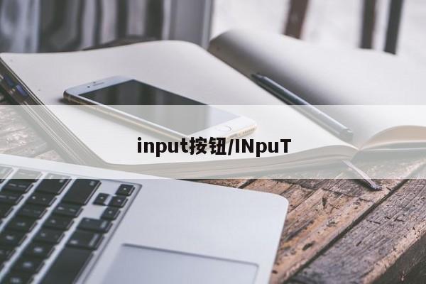 input按钮/INpuT