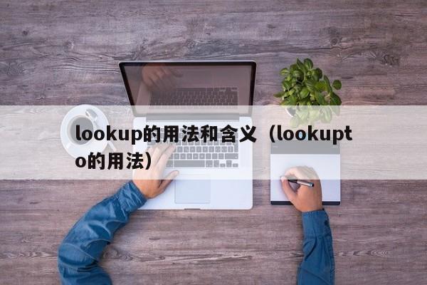 lookup的用法和含义(lookupto的用法)