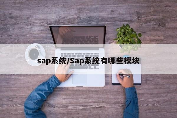 sap系统/Sap系统有哪些模块