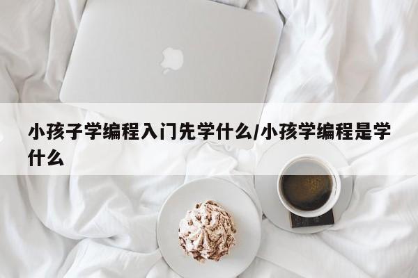 小孩子学编程入门先学什么/小孩学编程是学什么
