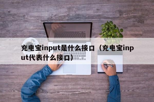 充电宝input是什么接口(充电宝input代表什么接口)