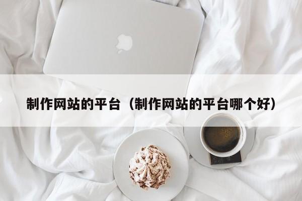 制作网站的平台(制作网站的平台哪个好)