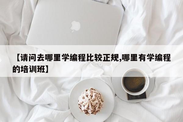 【请问去哪里学编程比较正规,哪里有学编程的培训班】