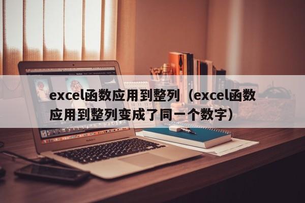 excel函数应用到整列(excel函数应用到整列变成了同一个数字)