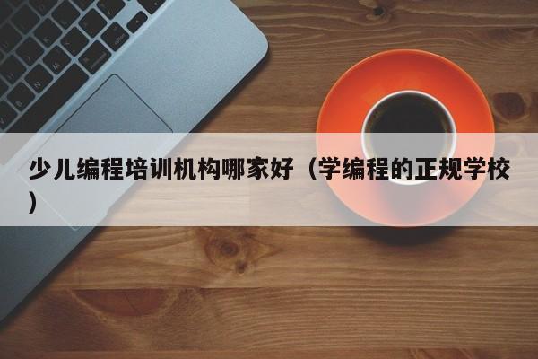 少儿编程培训机构哪家好(学编程的正规学校)