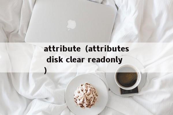 attribute(attributes disk clear readonly)