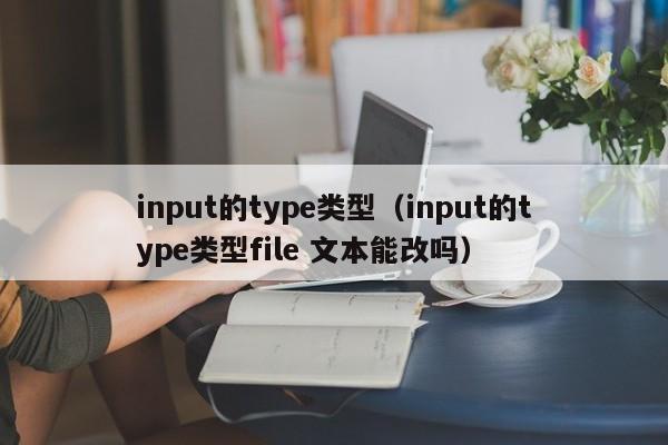 input的type类型(input的type类型file 文本能改吗)