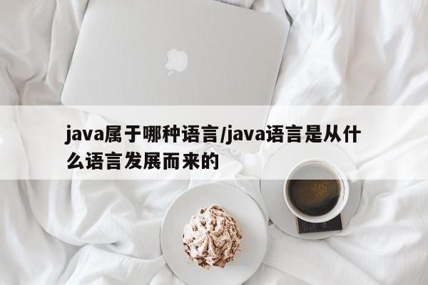 java属于哪种语言/java语言是从什么语言发展而来的