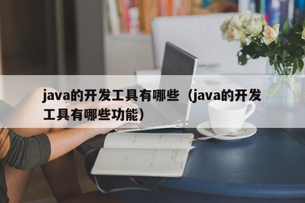 java的开发工具有哪些(java的开发工具有哪些功能)