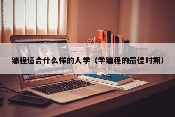 编程适合什么样的人学(学编程的最佳时期)