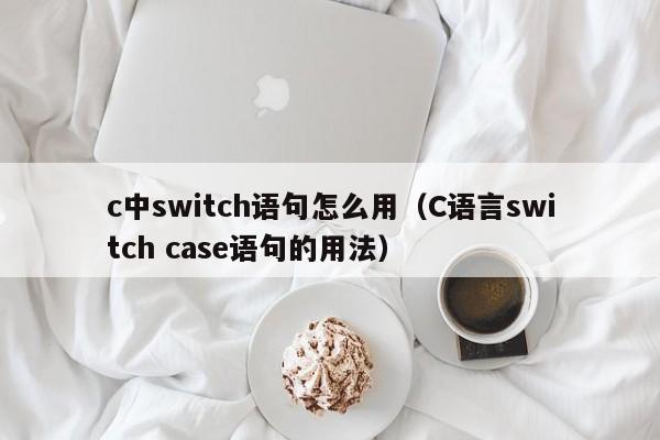 c中switch语句怎么用(C语言switch case语句的用法)