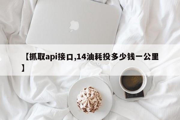 【抓取api接口,14油耗投多少钱一公里】