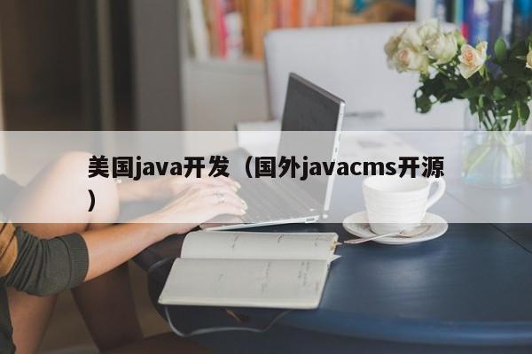 美国java开发(国外javacms开源)