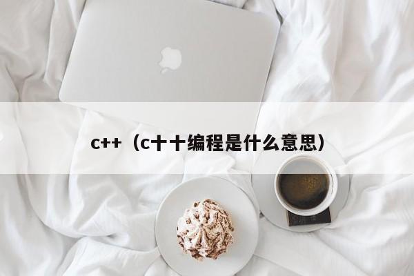 c++(c十十编程是什么意思)