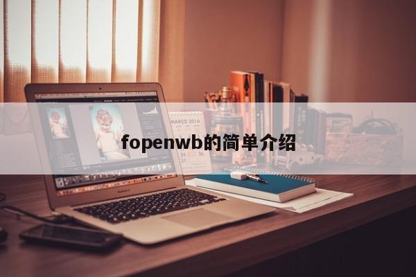fopenwb的简单介绍