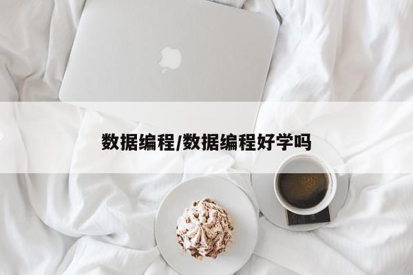 数据编程/数据编程好学吗