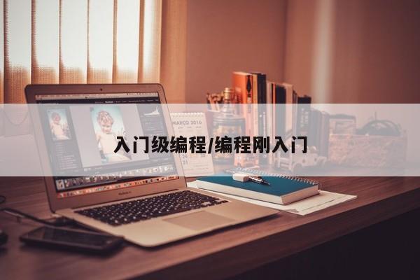 入门级编程/编程刚入门