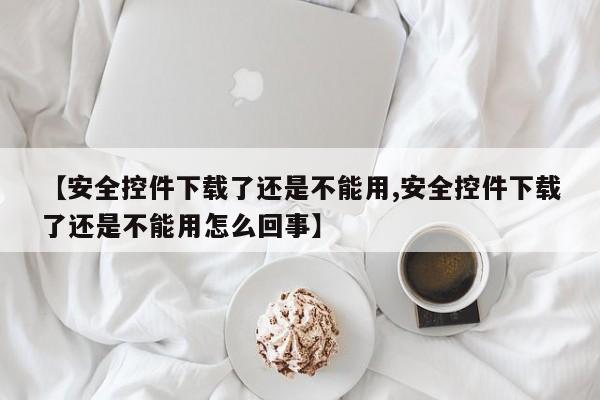 【安全控件下载了还是不能用,安全控件下载了还是不能用怎么回事】