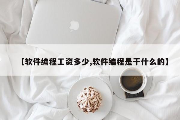 【软件编程工资多少,软件编程是干什么的】