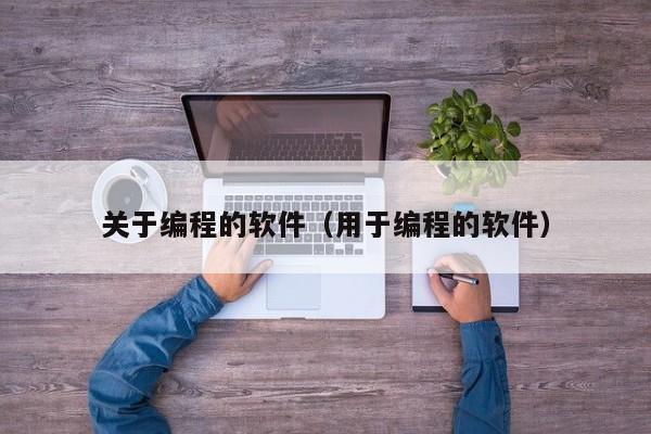 关于编程的软件(用于编程的软件)