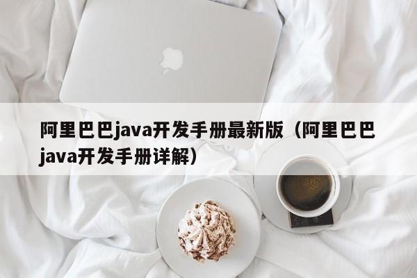 阿里巴巴java开发手册最新版(阿里巴巴java开发手册详解)