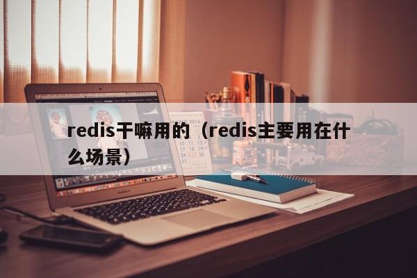 redis干嘛用的(redis主要用在什么场景)