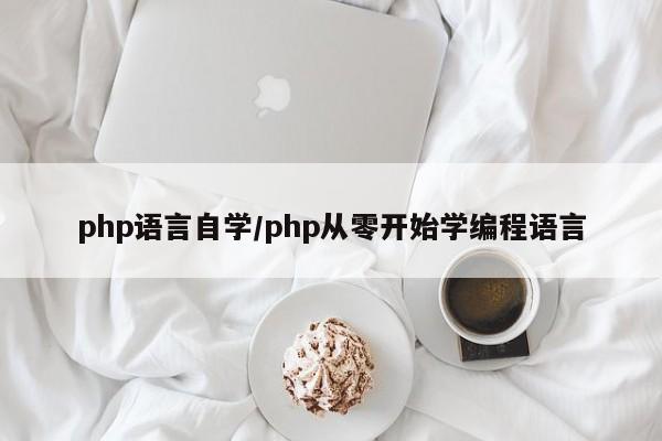 php语言自学/php从零开始学编程语言