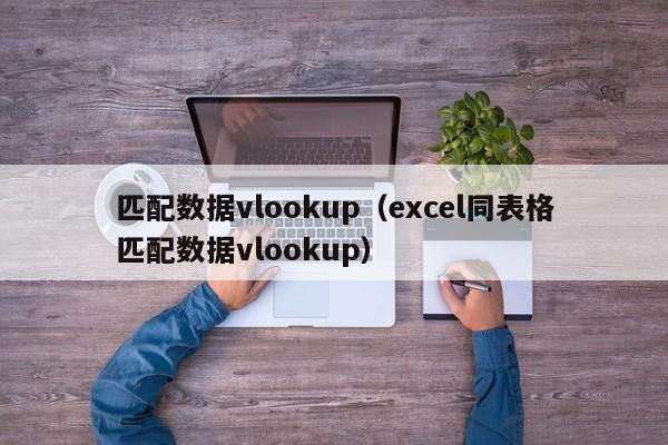 匹配数据vlookup(excel同表格匹配数据vlookup)